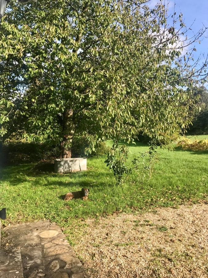 Nanteuil-en-Vallée Moulin Sous La Vergne المظهر الخارجي الصورة